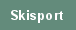 Skisport